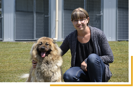 Pension Pour Chien Et Chat En Vendée Domaine De Lauzaire